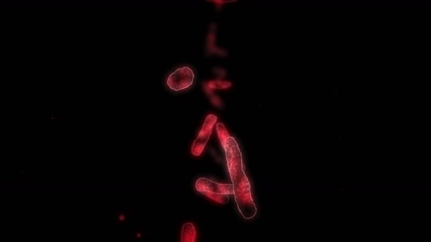 Célula Vírica Forma Linear Vírus Patogénicos Causadores Infecção Animação Loop — Vídeo de Stock