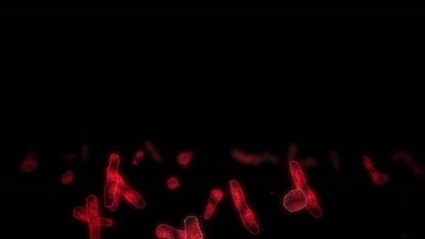 Célula Vírica Forma Linear Vírus Patogénicos Causadores Infecção Animação Loop — Vídeo de Stock
