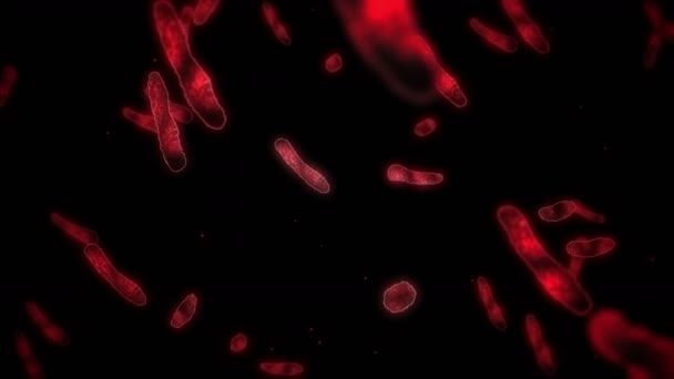 Ιικό Κύτταρο Γραμμικό Σχήμα Παθογόνοι Ιοί Προκαλούν Μόλυνση Αναρρόφηση Ανθρώπινου — Αρχείο Βίντεο