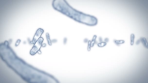 Viruscel Lineaire Vorm Pathogene Virussen Die Infectie Veroorzaken Cirkelanimatie Van — Stockvideo