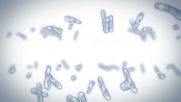 Célula Viral Forma Lineal Virus Patógenos Que Causan Infección Animación — Vídeo de stock