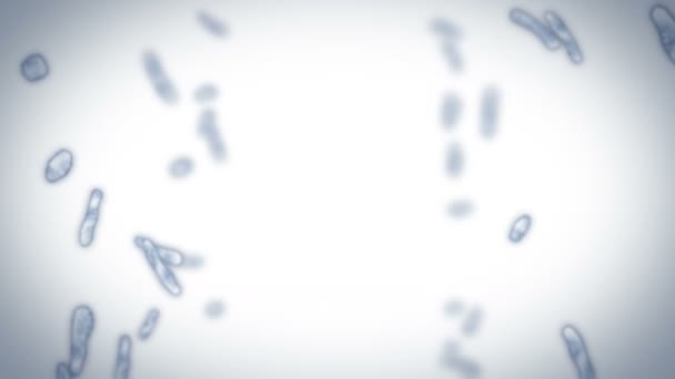 Вірусна Клітина Лінійної Форми Патогенні Віруси Викликають Інфекцію Циклічна Анімація — стокове відео