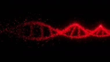 Kırmızı kanlı bir DNA molekülü. İçinden kan akıyor. Döngü animasyonu. Tıbbi araştırma konsepti. 3D rending ven ve arter.