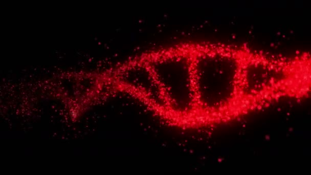 Molecola Del Sistema Dna Con Sangue Rosso Sangue Che Galleggia — Video Stock