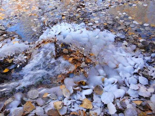 frozen leaves and water