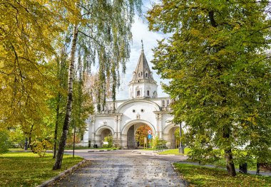 Moskova'da Izmaylovo Emlak