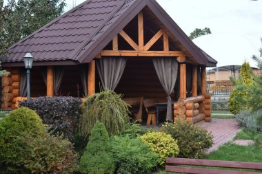 Güz parkındaki modern sokak bitkilerinin arasında güzel ahşap bir çardak..