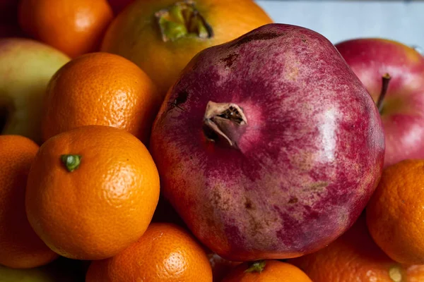     Evde turunçgil ve armut                           