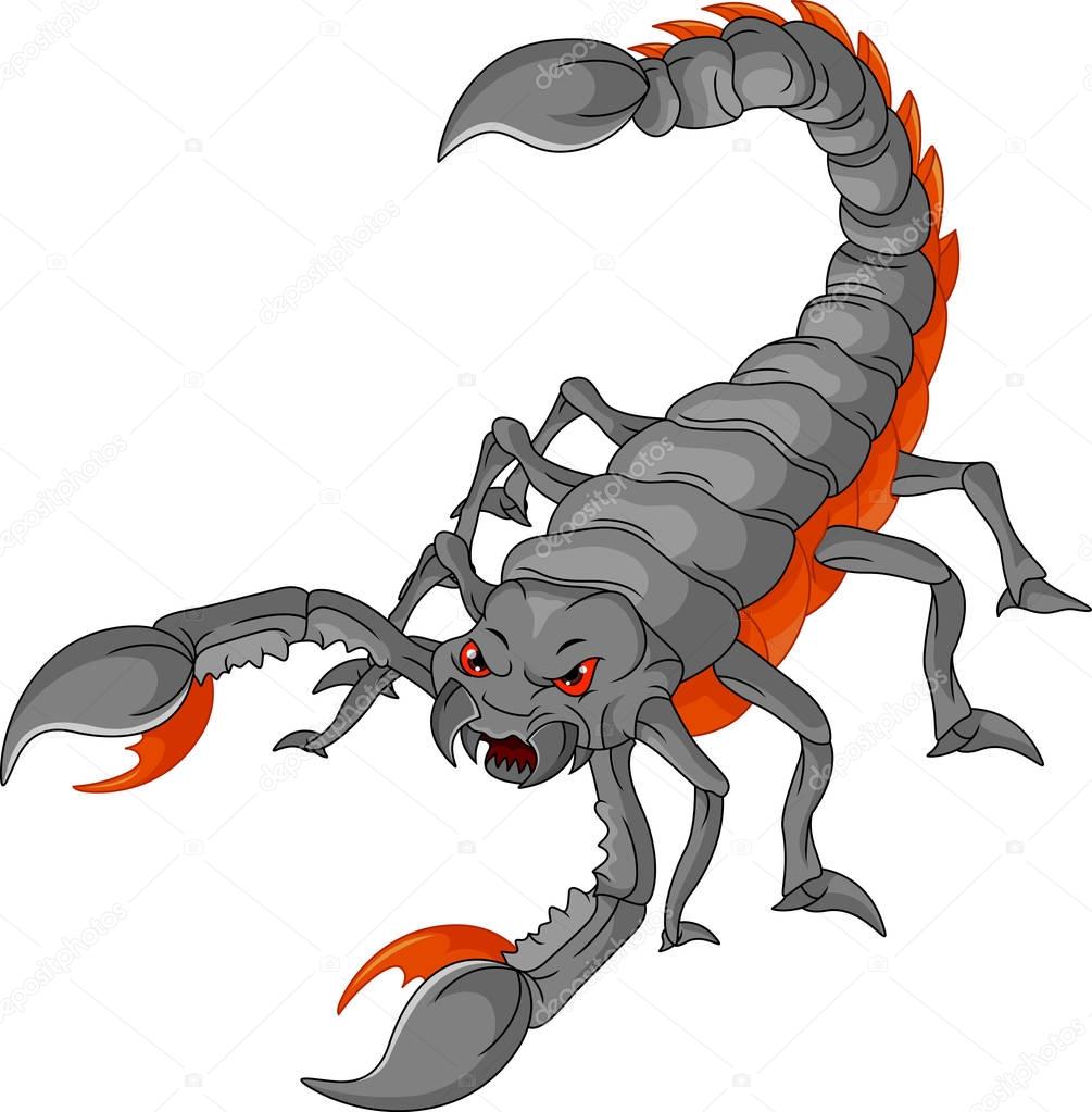 Vector illustration of scorpion cartoon premium vector in Adobe