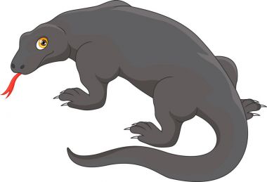 şirin komodo dragon