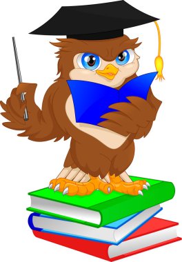 baykuş giyen mezuniyet kap