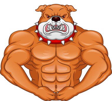 Kas İngilizcesi Bulldog Çizgifilmi