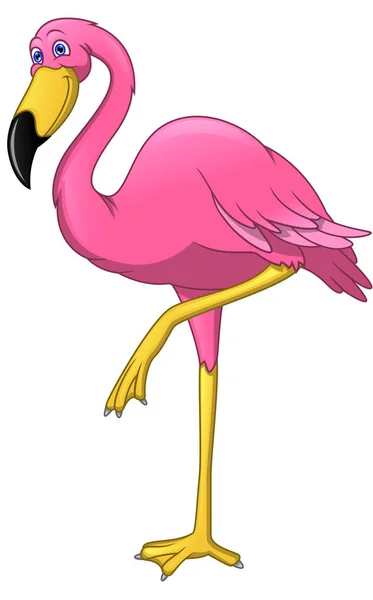 Mignon Flamingo Oiseau Dessin Animé Sur Fond Blanc — Image vectorielle