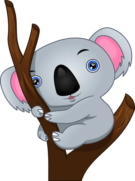Χαριτωμένο Koala Κινουμένων Σχεδίων Λευκό Φόντο — Διανυσματικό Αρχείο