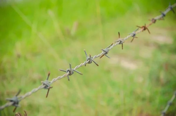 Rusty barbed wire fence — Stock Photo, Image