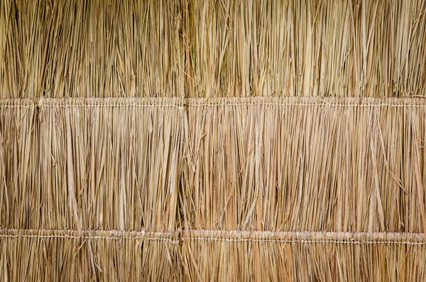 Wall Bulrush Thatch Covered Hay Dry Grass Background — Stock Photo, Image