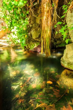 Sağlıklı sular Caldas de Monchique, Algarve, Portekiz
