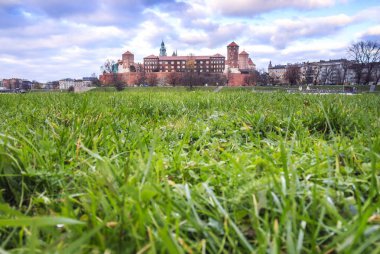Wawel royal castle Tarihi Krakow, Polonya