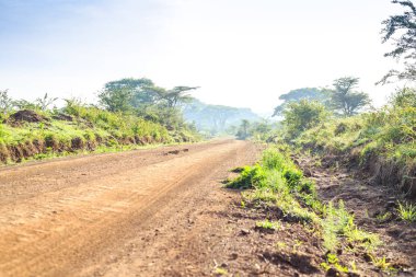 Afrika manzara - toprak yol aracılığıyla savana, Kenya