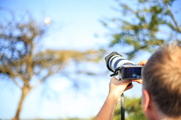 Профессиональный фотограф фотографирует птицу — стоковое фото