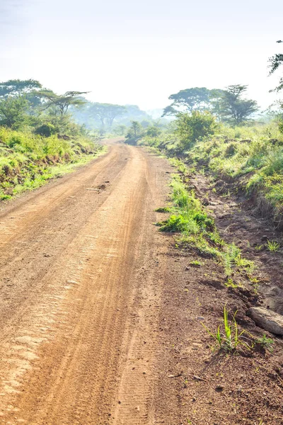 Paisaje africano - camino de tierra a través de la sabana, Kenia —  Fotos de Stock