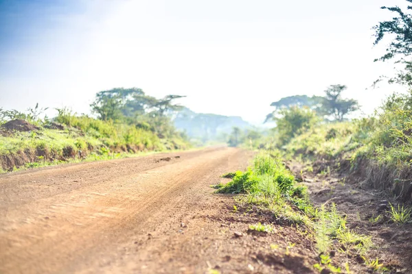 Paesaggio africano - strada sterrata attraverso la savana, Kenya — Foto Stock