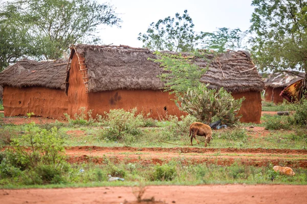 Traditional mud, african houses in Kenya — Stock Photo, Image