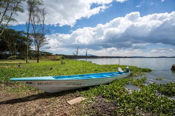 Niebieski canoe nad jeziorem tropikalnej Afryki Wschodniej — Zdjęcie stockowe
