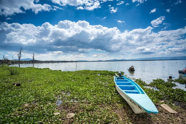 Niebieski canoe nad jeziorem tropikalnej Afryki Wschodniej — Zdjęcie stockowe