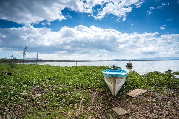 Canoa azul sobre el lago tropical, África Oriental —  Fotos de Stock