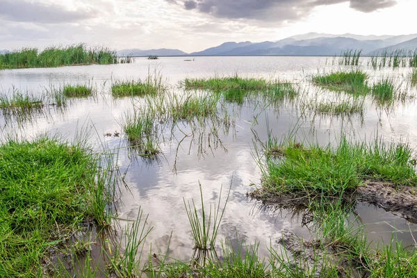 Lago Jipe en la frontera de Kenia y Tanzania —  Fotos de Stock