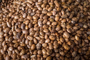 Benekli fasulye arka plan