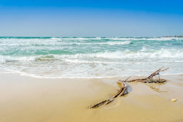 Plage de sable et mer Adriatique ondulée, Italie — Photo