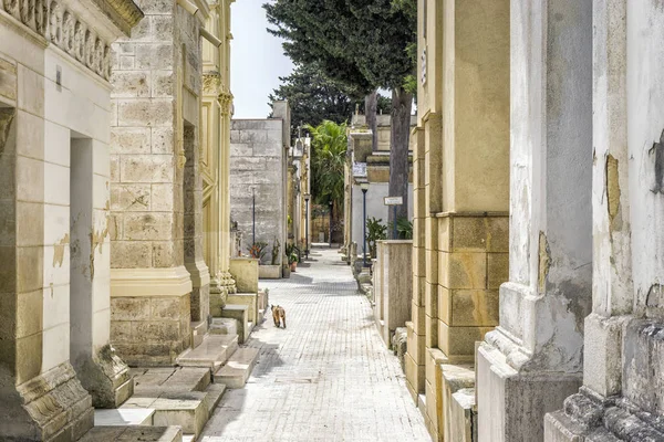 Old cemetery with family graves in Italy — Stock Photo, Image