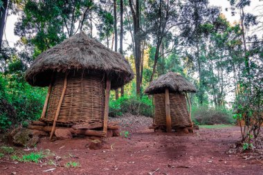 İki thatched tahıl ambarları Afrika Köyü, Kenya