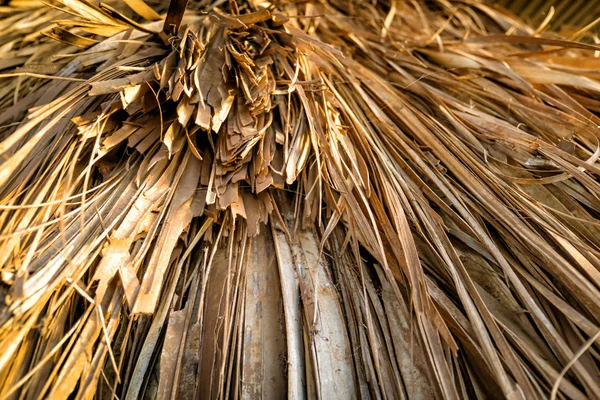 Geleneksel Afrika kulübe, Kenya thatched çatı, yakın çekim