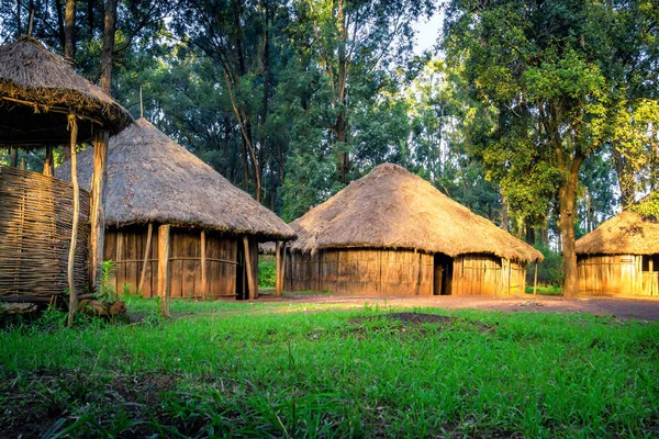 传统的部落肯尼亚村庄内罗毕 — 图库照片