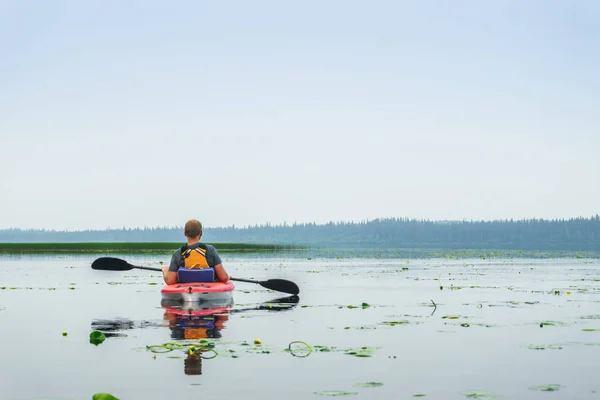 Mann paddelt Kajak zwischen Lilienblüten auf dem See — Stockfoto