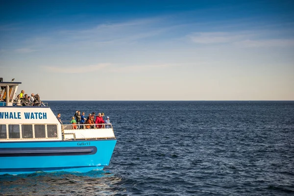 Turistas en el barco esperando ballenas en Terranova, Canadá — Foto de Stock