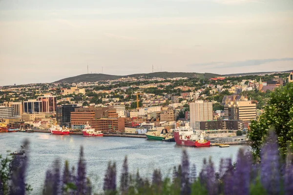 St John's cityscape, sermaye city of Newfoundland ve Labrador,