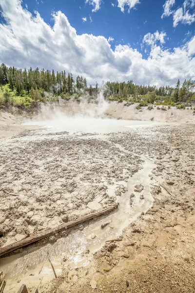 Modder vulkaan Pool, Yellowstone National Park, Verenigde Staten — Stockfoto