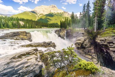 Athabasca şelaleler Icefields Parkway, Jasper National Park tarafından,