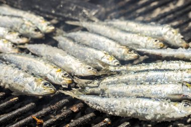 Taze sardalye koymak üzerinde Barbekü - geleneksel gıda kimden Portekiz