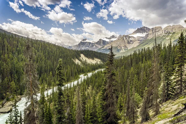 Prachtige landschap van de Rockies en rivier in het Nationaal Park Jasper — Stockfoto