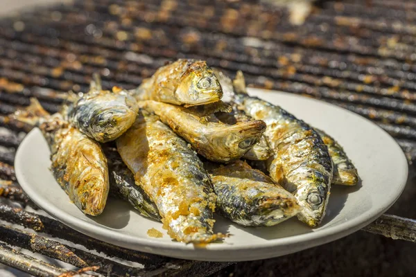 Köstliche gegrillte Sardinen - traditionelle Speisen aus Portugal — Stockfoto