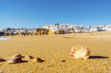 ' Beyaz şehir adını Albufeira, Algarve geniş, kumlu plajda kabukları,