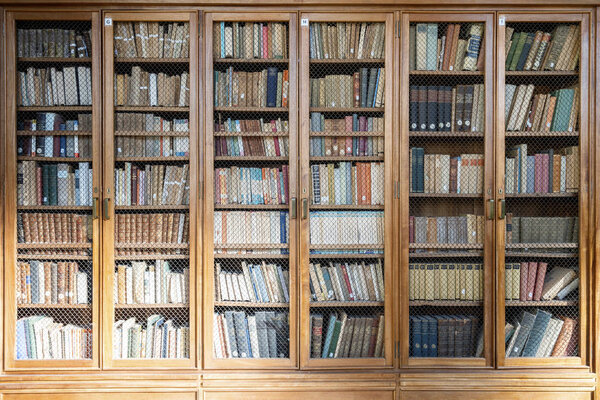 Bookshelves with plenty of old books
