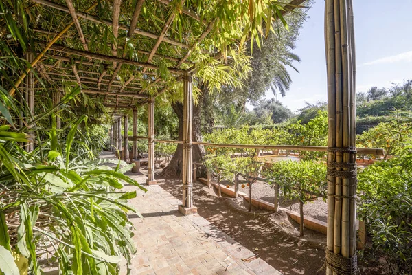Hermoso jardín Majorelle en Marrakech, Marruecos — Foto de Stock