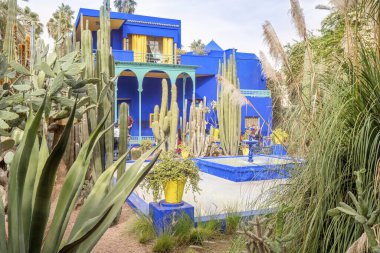 Yves Saint Laurent tarafından kurulan güzel Majorelle Bahçesi 