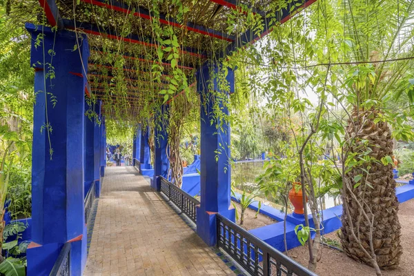 Beautiful Majorelle Garden established by Yves Saint Laurent in — Stock Photo, Image